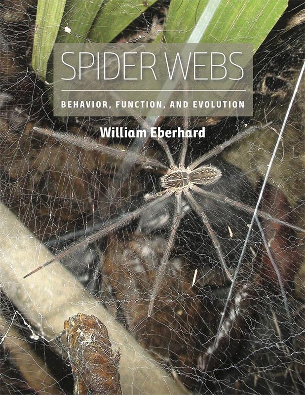 Spider Webs William G Eberhard