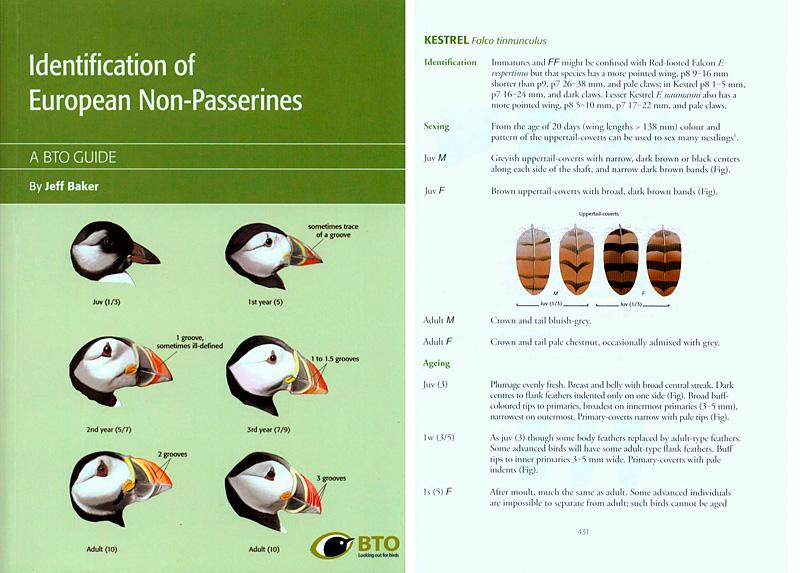 Identification of European Non-Passerines: A BTO Field Guide