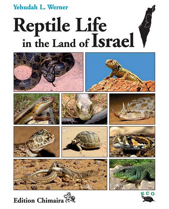 WERNER, Y.L.: Reptile Life in the Land of Israel