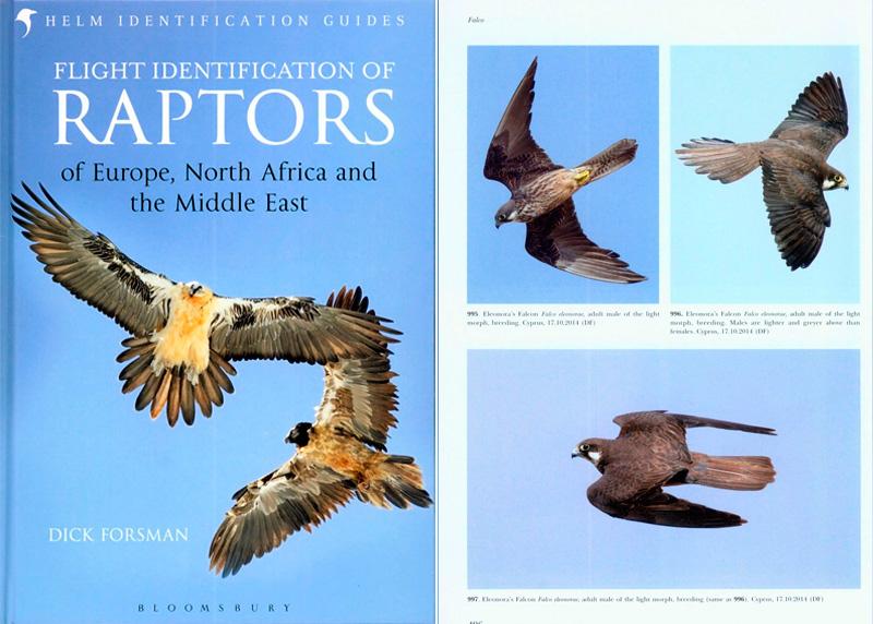 by Dick Forsman  ,Flight Identification of Raptors of Europe, North Africa and the Middle East